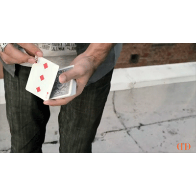 Monet by Alex Pandrea - Video Download